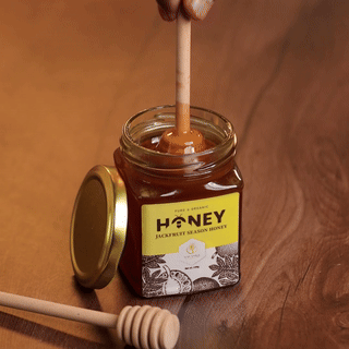 Jack Fruit Season Honey - For Gut Health (500 gm)