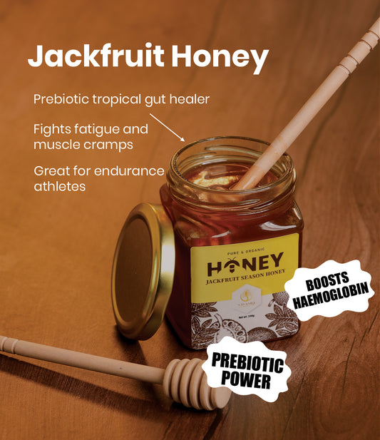 Jack Fruit Season Honey - For Gut Health (500 gm) 